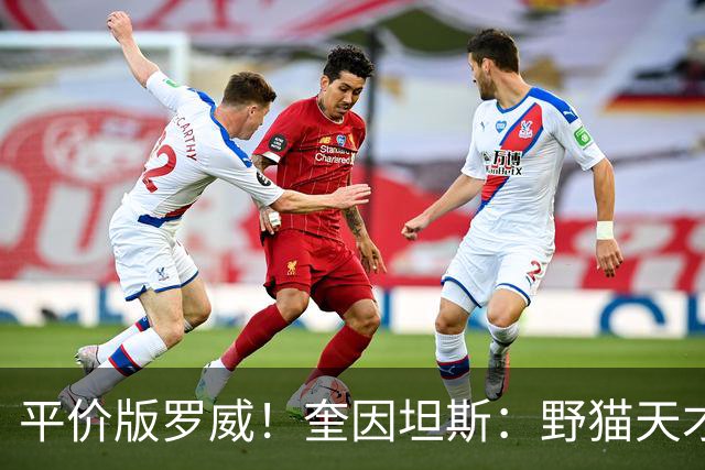 平价版罗威！奎因坦斯：野猫天才内线 存伤病隐患 罚球致敬米切罗