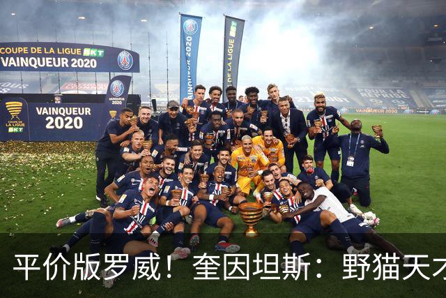 平价版罗威！奎因坦斯：野猫天才内线 存伤病隐患 罚球致敬米切罗